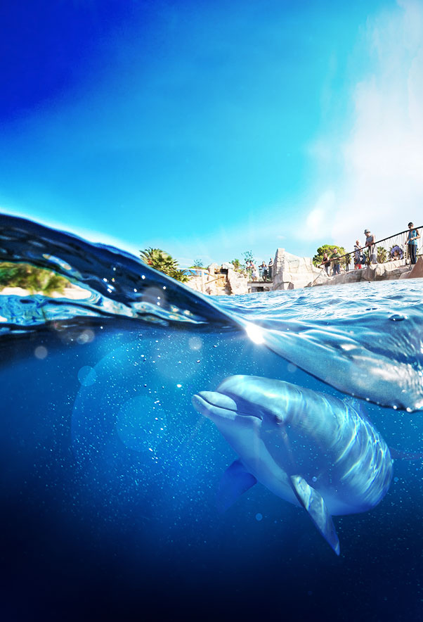 Marineland in Antibes - the largest marine zoo in Europe