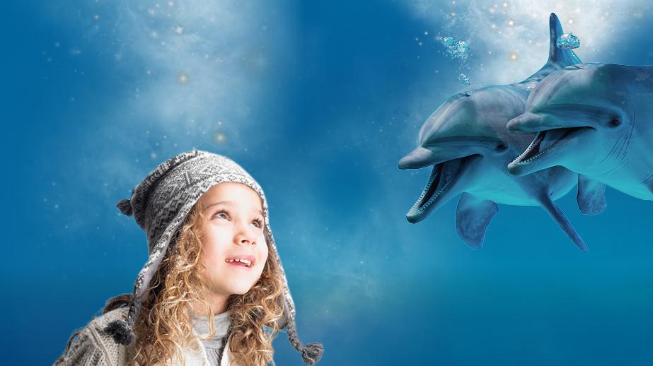 Noël 2019 à Marineland