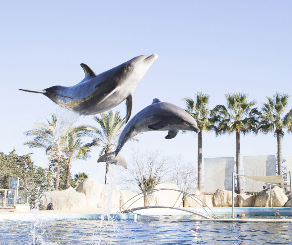 Journée mondiales des océans - Marineland 2