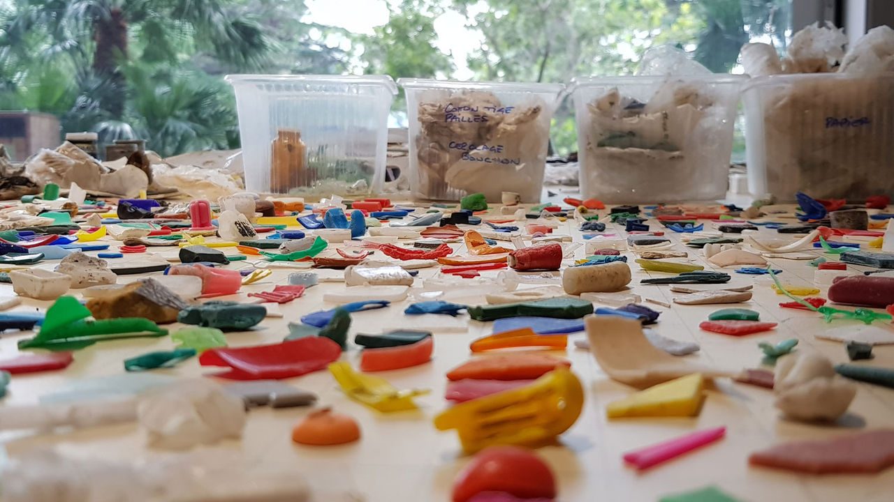 Clean&Collect : une 2ème année d’action !