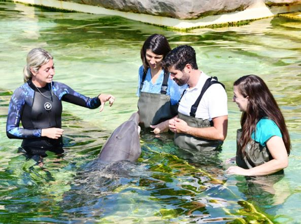 Visite Privilège avec nos animaux marins - Marineland