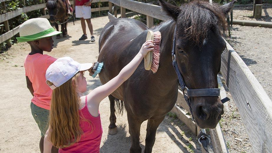 Fête du cheval à Kid's Island