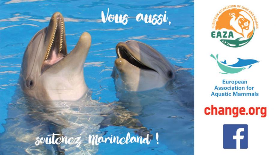 Lettre ouverte des soigneurs de Marineland à la presse