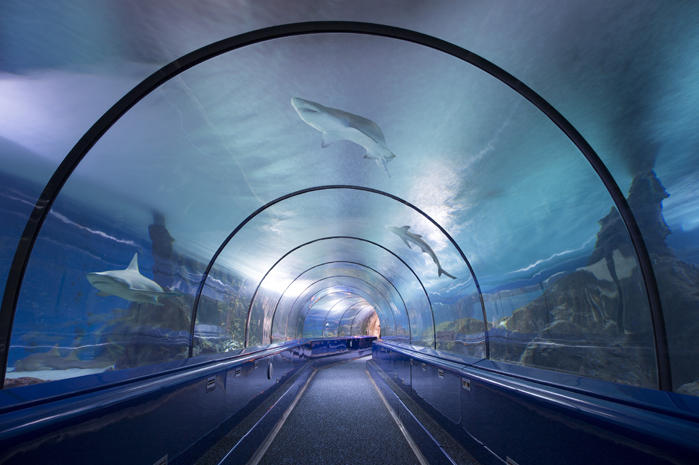 Tunnel-des-requins