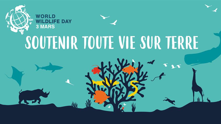 World Wildlife Day 2020