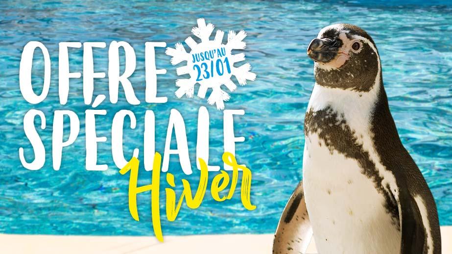 Offres spéciales hiver