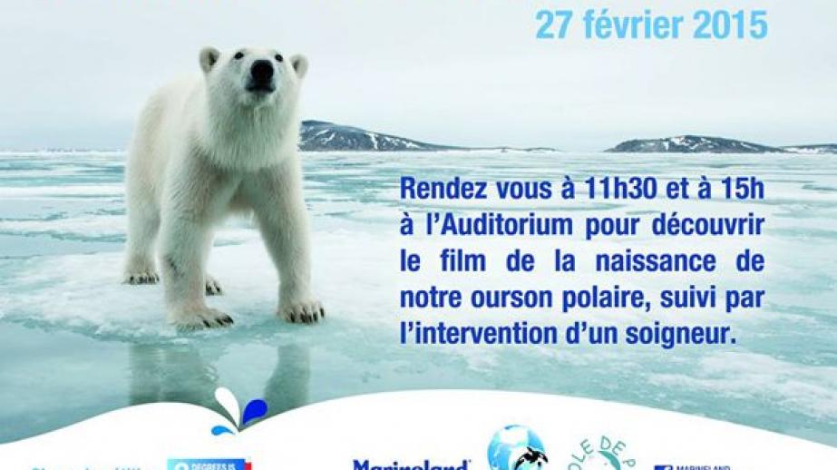 Les enjeux de la préservation de l’ours polaire