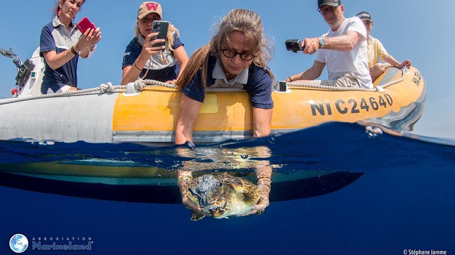 C’est la Journée mondiale des tortues marines!