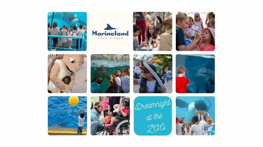 Dreamnight at the zoo: le cœur de Marineland y est! 