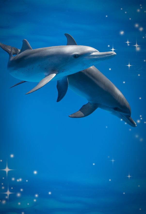Hero Marineland