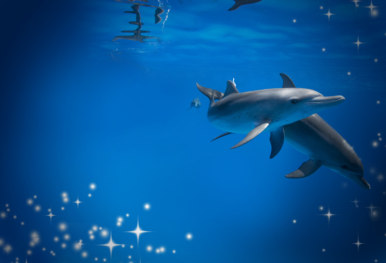 Hero Marineland