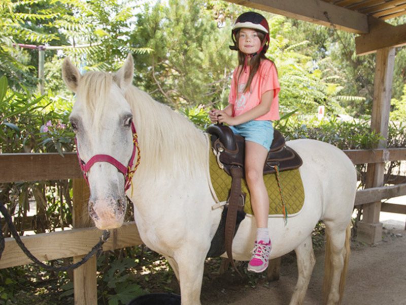 Promenades à poney 