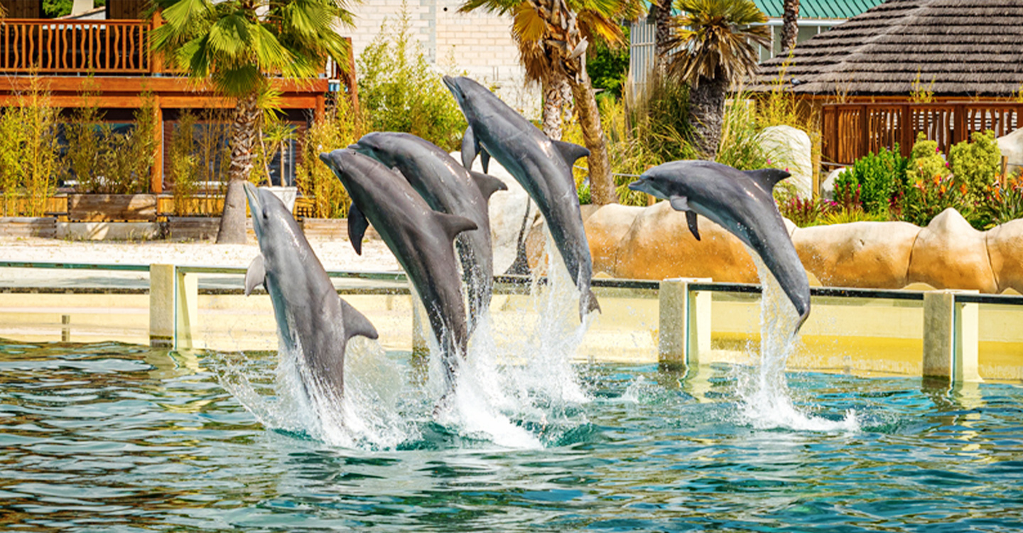 Marineland Lagoon Heroes