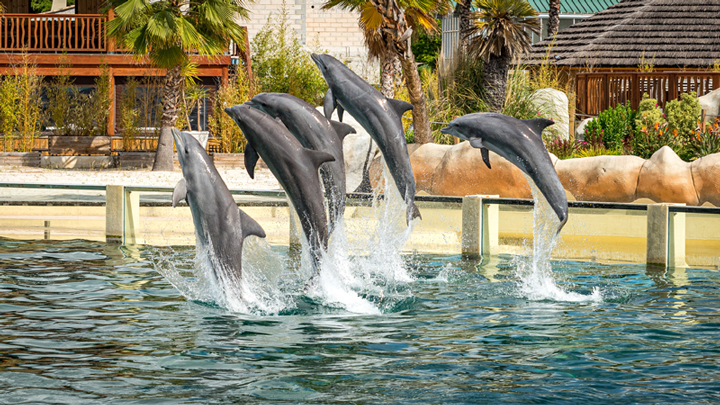 Hero Marineland Lagoon