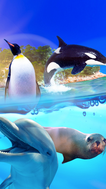 http marineland rencontre avec les animaux visite vip