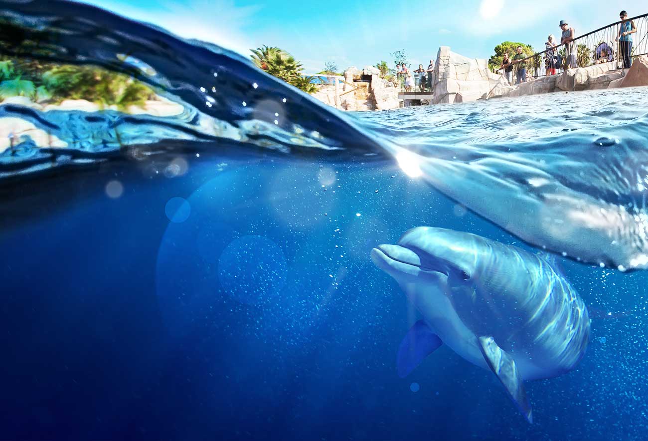 Hero Marineland