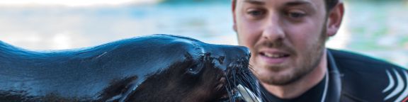 Animal Welfare