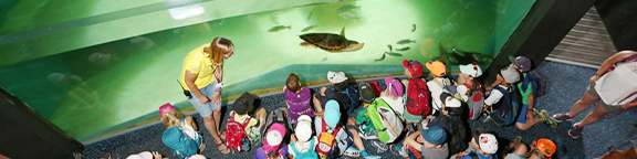 Visites Scolaires Marineland