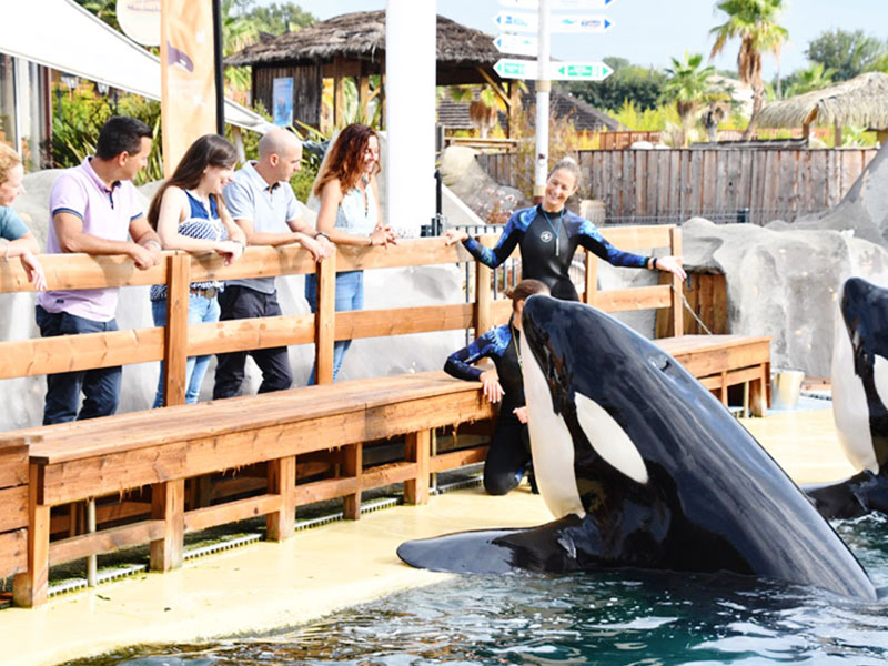 Offre Toussaint 2022 à Kid's Island