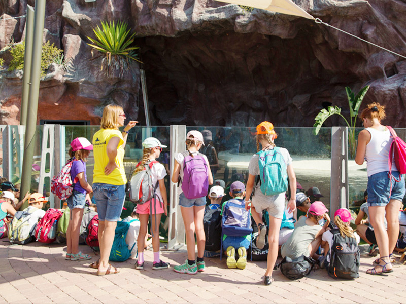 Sensibilitation Marineland