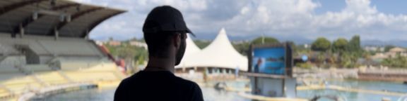 Ricerca Marineland